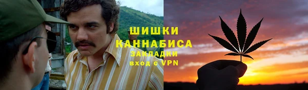 Альфа ПВП Аркадак