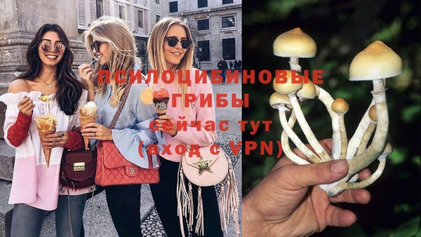 таблы Армянск
